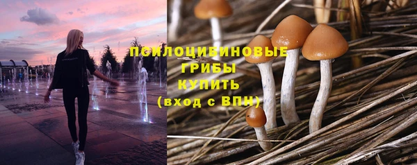 скорость Карталы