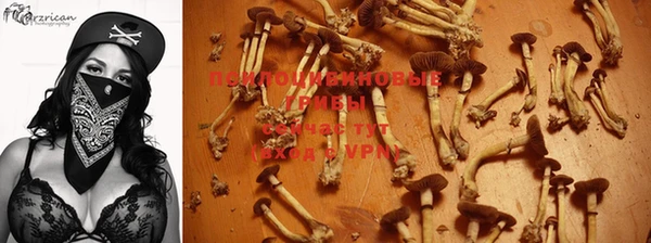 эйфоретик Карпинск