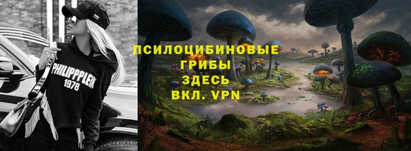 эйфоретик Карпинск
