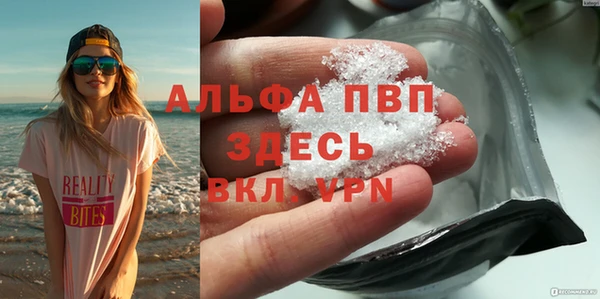 эйфоретик Карпинск