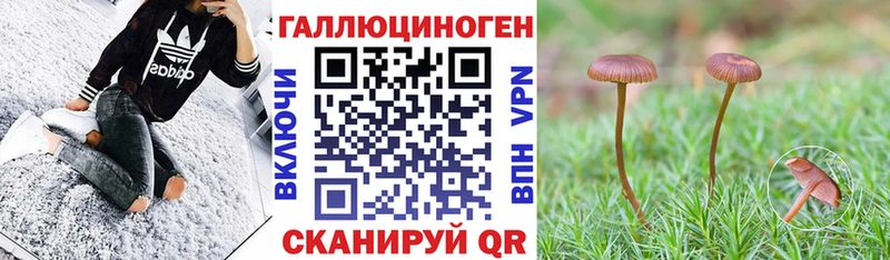 Галлюциногенные грибы GOLDEN TEACHER  Мариинский Посад 